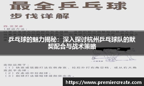 乒乓球的魅力揭秘：深入探讨杭州乒乓球队的默契配合与战术策略